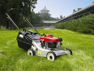 중국 트리머 정원 절단기, 6.5HP 173CC 자기 추진 가스 잔디 깍는 기계를 풀이 나게 하십시오 회사